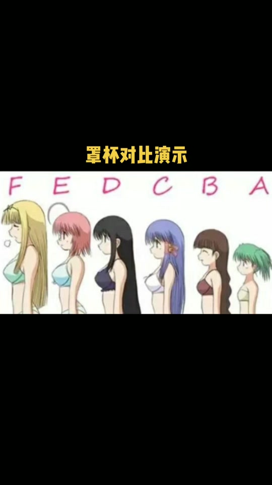 abcd大小示意图真人