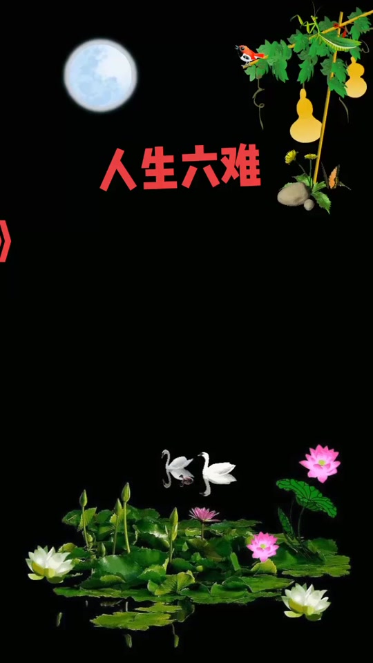 赞美诗总是走过了才知道歌词歌谱 - 抖音