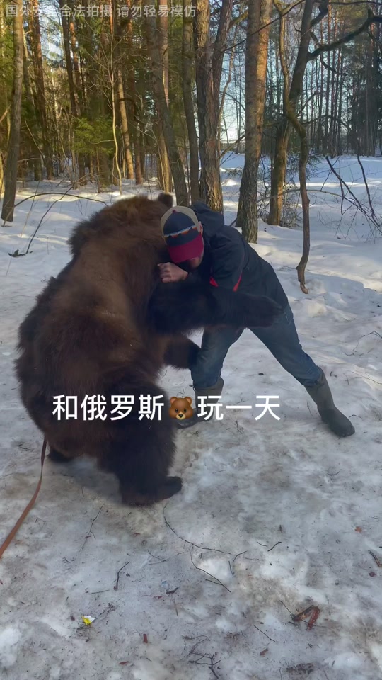 小狗熊铁蛋 - 抖音