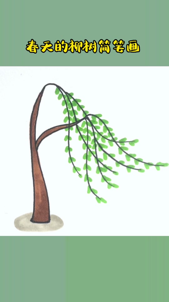 杨柳树简笔画