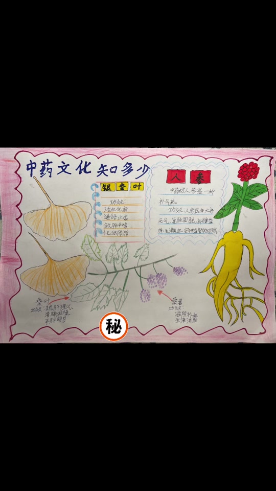 中药手抄报简单又漂亮人参_中药手抄报简单又