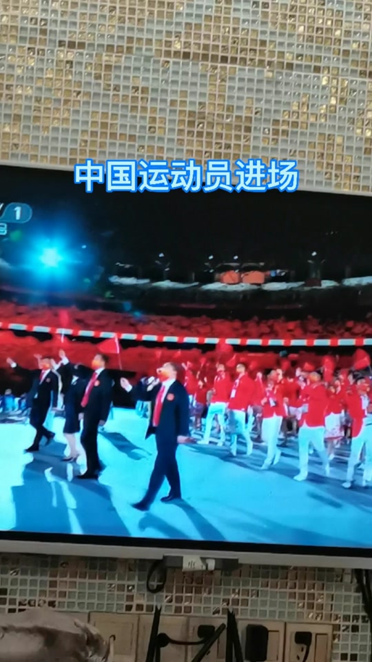 平昌冬奥会中国队入场 - 抖音