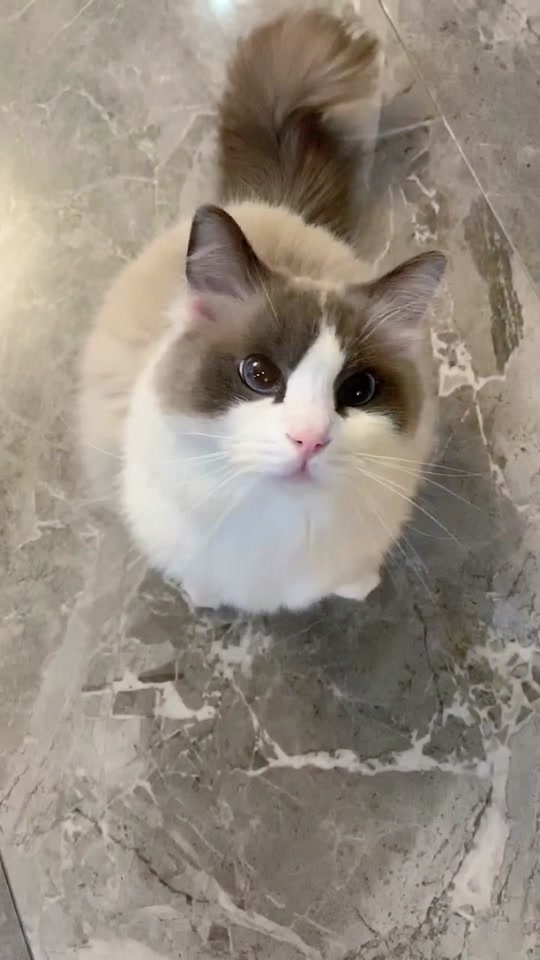 河卜卜和momo老花_河momo的卜卜酱_河卜卜的momo花泽类3岁 - 抖音