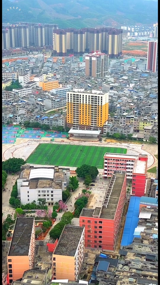 大化高中一本上线率