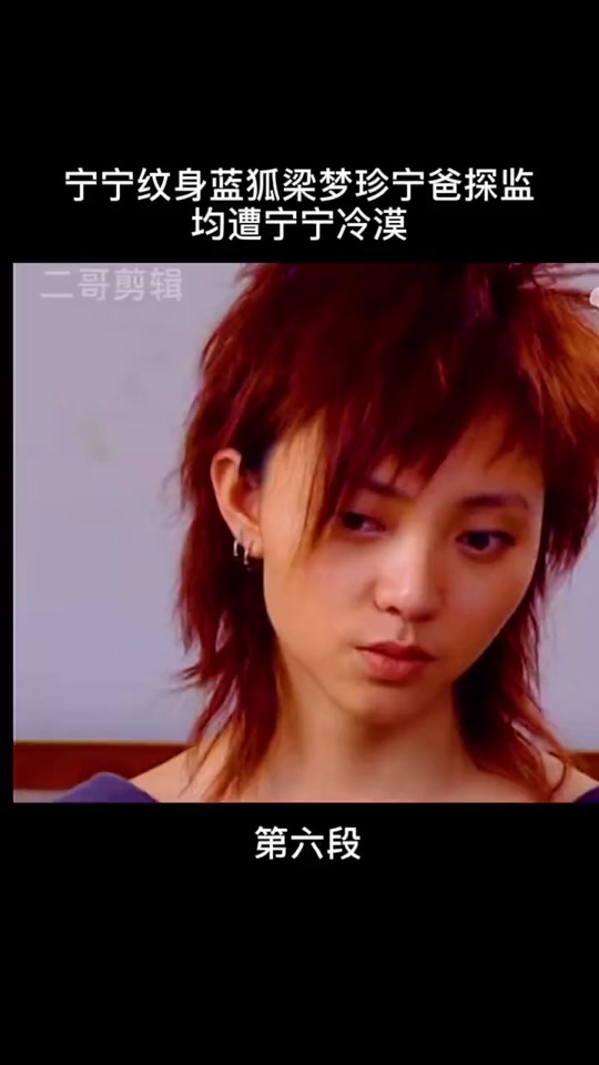 蓝狐宁宁扮演者陶慧