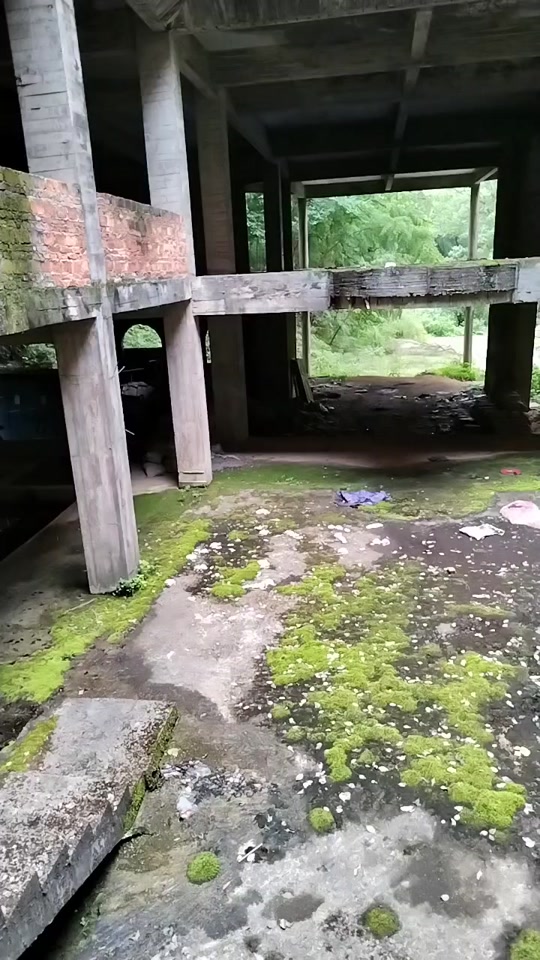 江西莲花塘鬼楼有哪些_景德镇莲花塘鬼屋故事