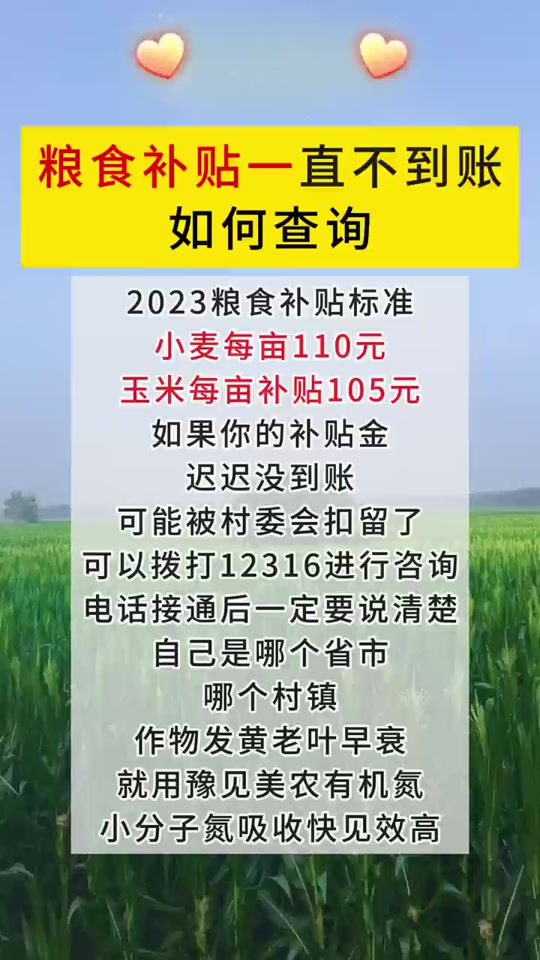 山东菏泽小麦补贴一亩地多少钱(2025山东菏泽小麦补贴一亩地多少钱)