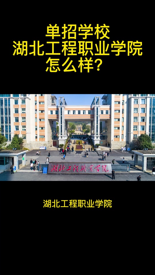 湖北工程职业学院单招多少分2024 - 抖音