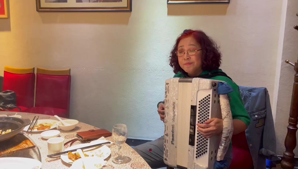 王茗手风琴独奏花儿与少年_王茗手风琴独奏曲