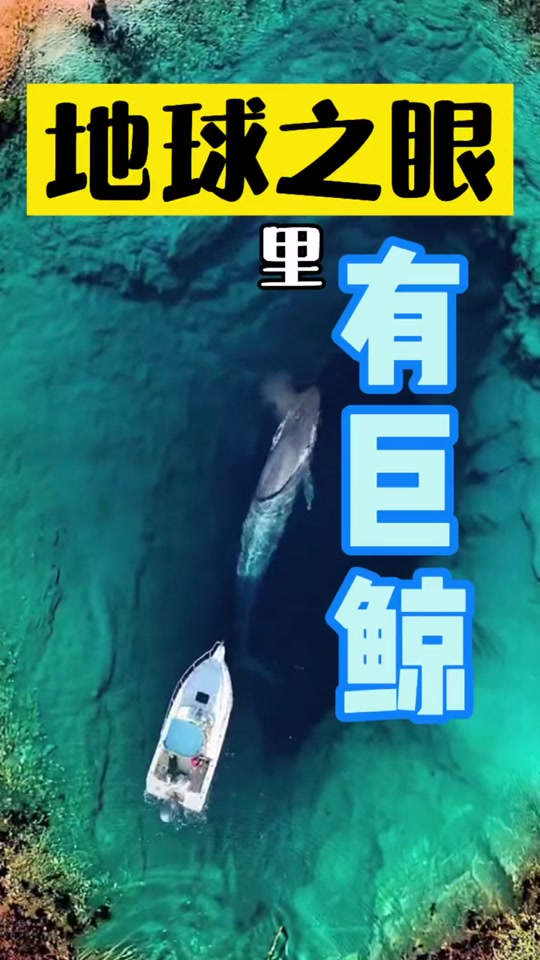 地球之眼有鱼吗_地球之眼真有鲸鱼吗_地球有什么鱼 - 抖音