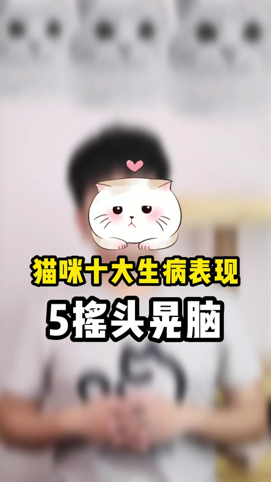 五只猫咪摇头抖音=五只猫咪摇头表情包怎么添加到微信