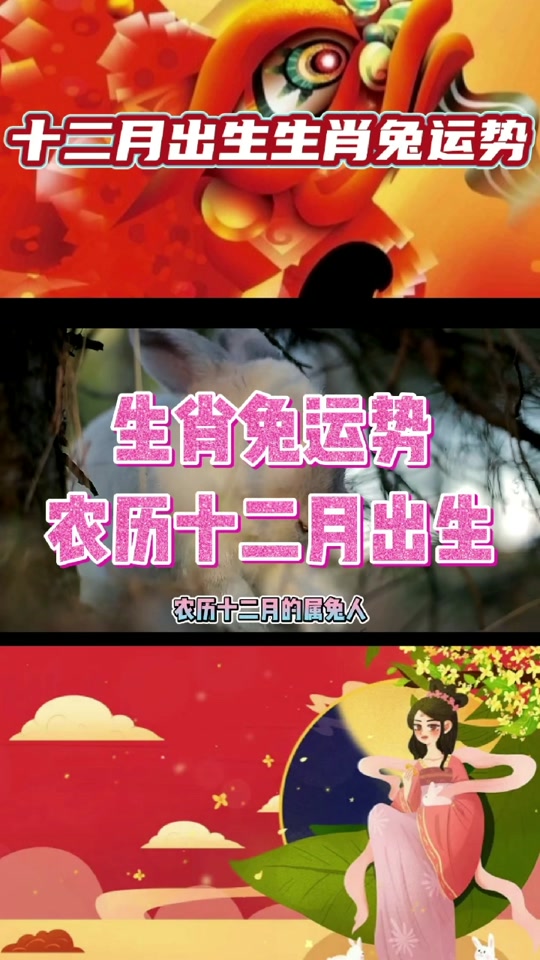 农历历12月生肖运势(农历十二月的人生)
