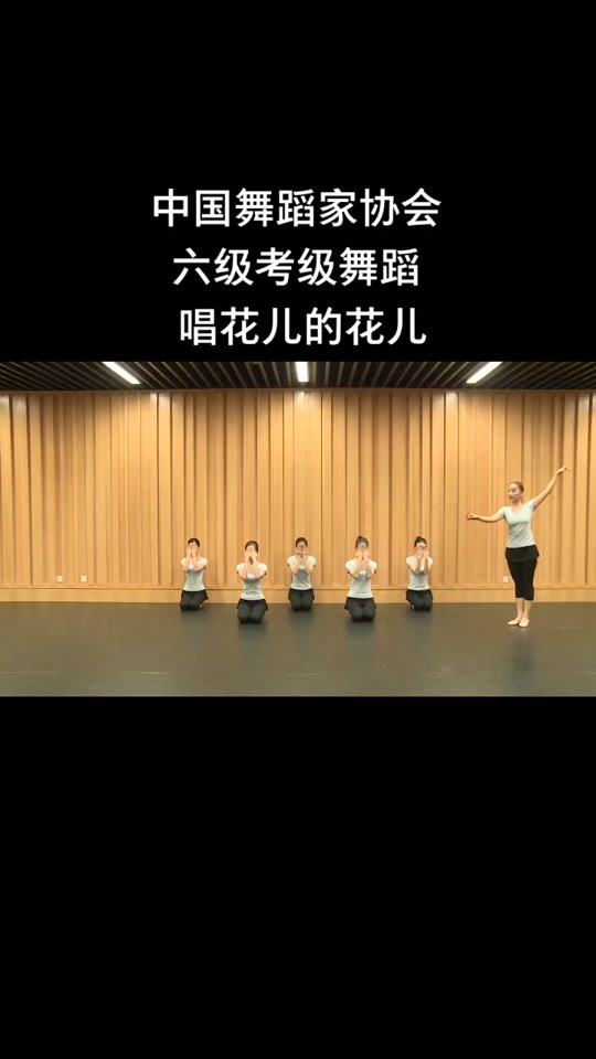 中国舞六级舞蹈_中国舞六级什么水平