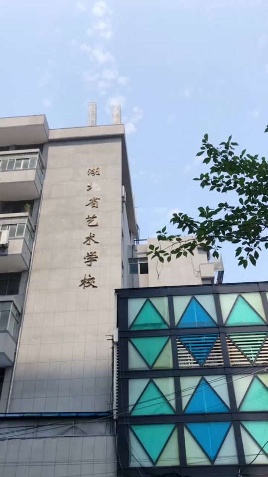 湖北艺术职业学院2024开学时间 - 抖音
