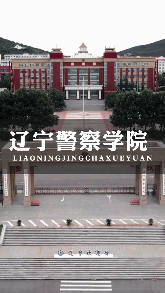 24年3月为什么大连那么多警察 - 抖音