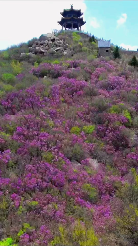 秦皇岛五佛山国家森林公园