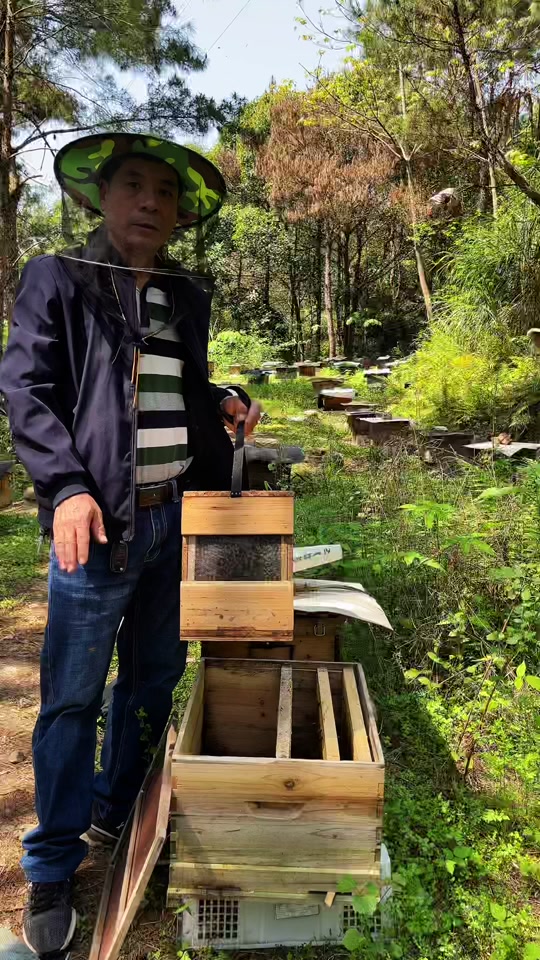 野外发现一窝蜜蜂怎么移到蜂箱