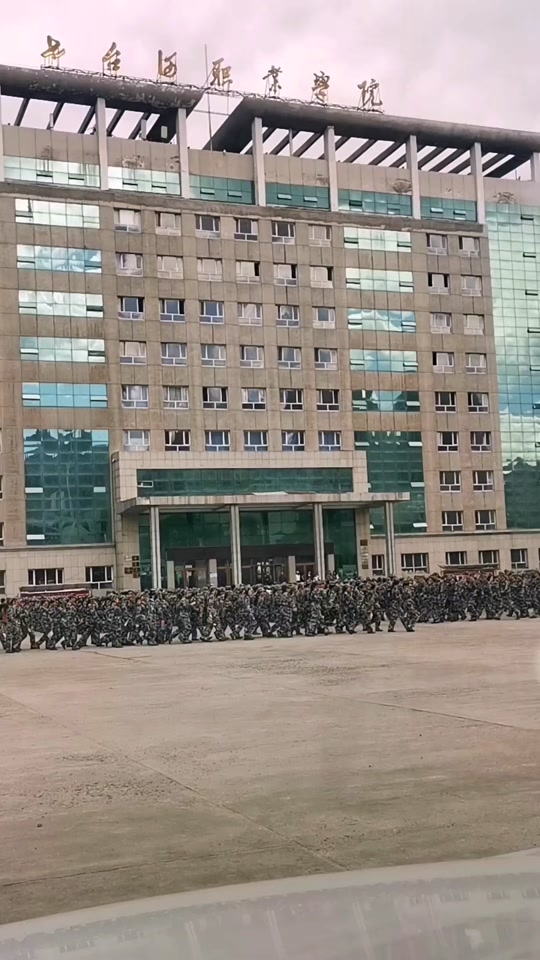 七台河职业学院2024年单招多少人 - 抖音