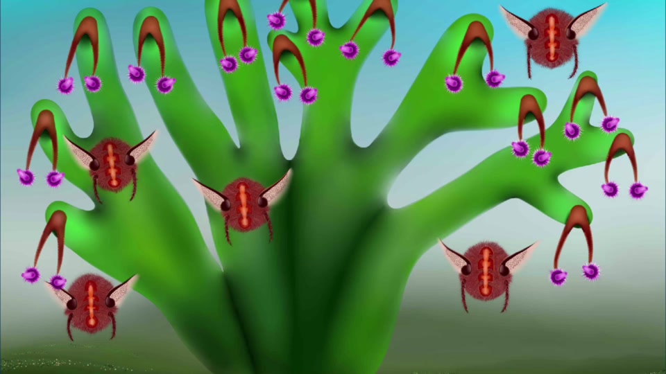 宇宙小毛球 - 抖音