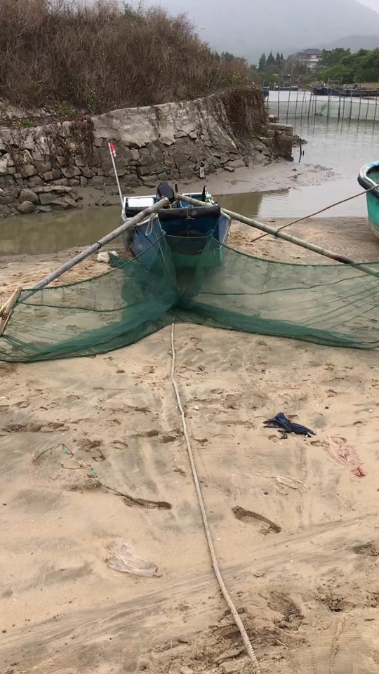 捕捉鳗鱼苗_捕捉鳗鱼苗最好方法_捕捉鳗鱼苗的纪录片 - 抖音