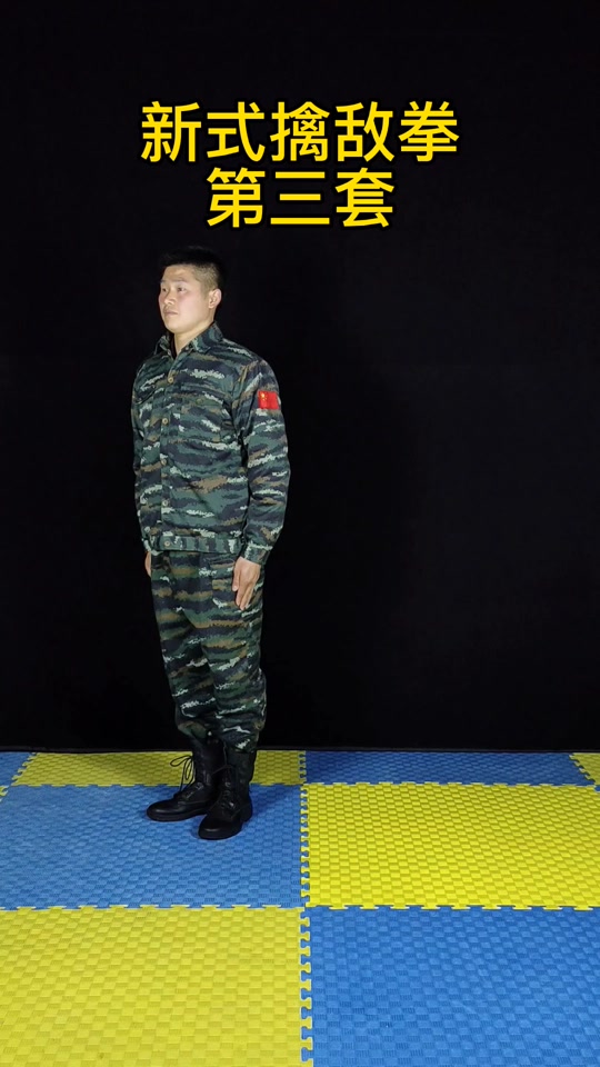 擒敌拳第三套16动分解动作名称_擒敌拳第三套教学视频
