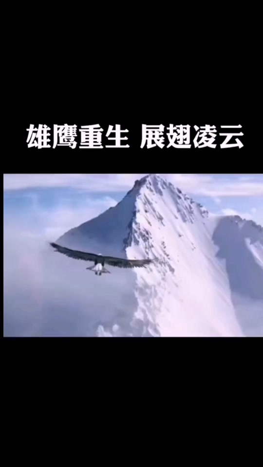 雄鹰舞曲抖音=雄鹰舞曲抖音背景音乐