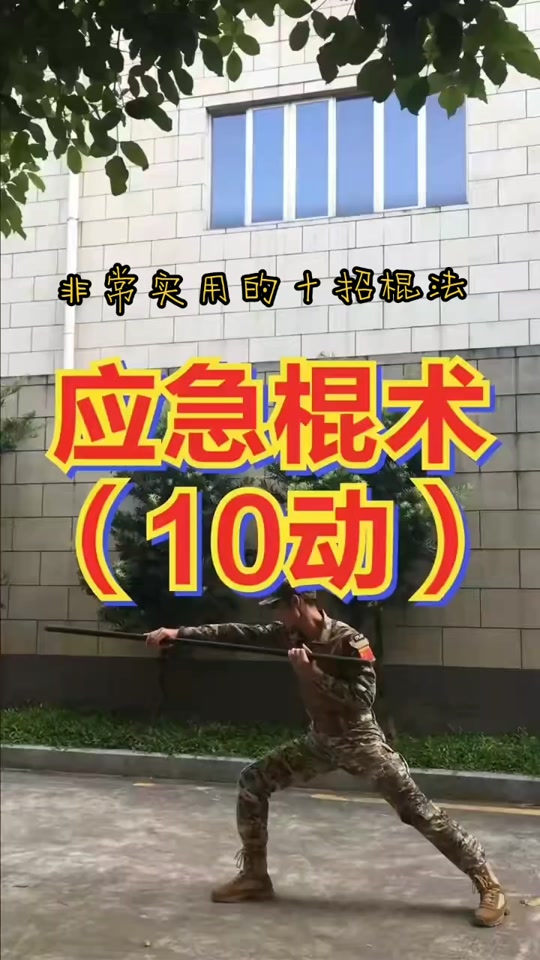 应急棍术10动教学慢动作分解_应急棍术十动教程_应急棍术基础动作示范