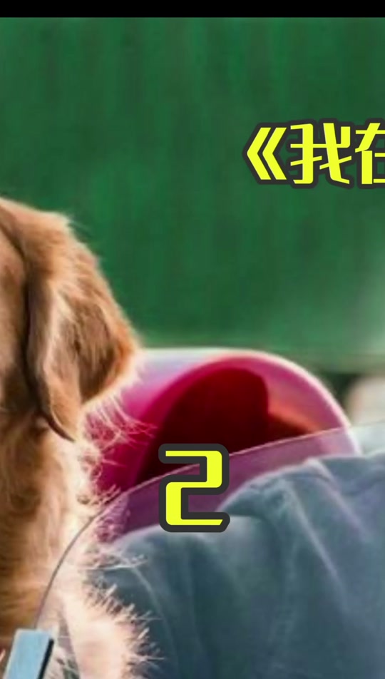 丹妮结婚后生孩子_种丹妮的现任男友_种丹妮为什么不红 - 抖音