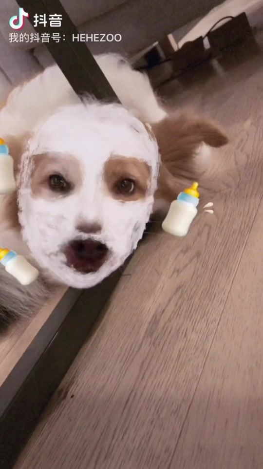 狗狗面膜特效_狗狗面膜特效的相机_狗狗面膜特效什么时候出的 - 抖音