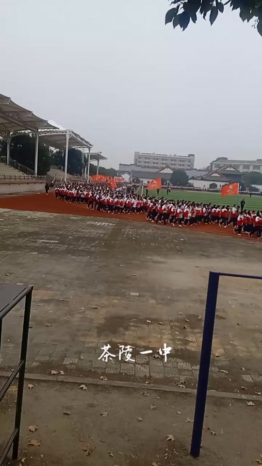 2024茶陵一中什么时候报名 - 抖音