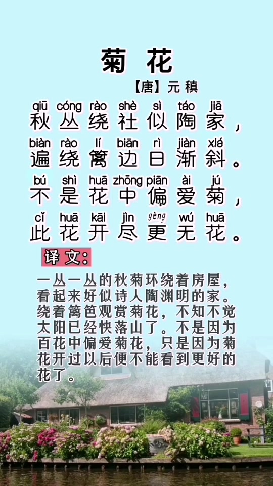 菊花唐元稹_菊花唐元稹古诗译文_菊花唐元稹拼音版朗读 - 抖音