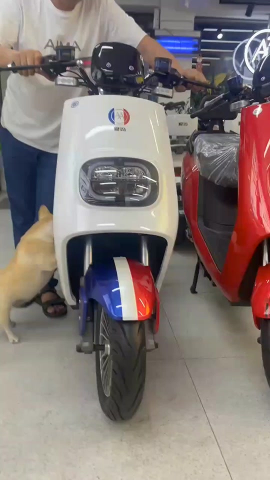 爱玛红牛改装列表