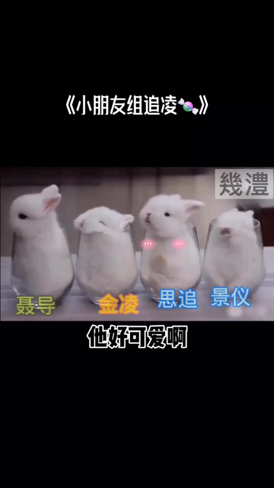 景仪抖音号=景仪一个神奇的存在