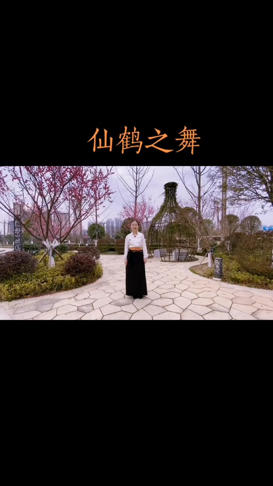 仙鹤舞 西游记 简谱_仙鹤舞曲简谱