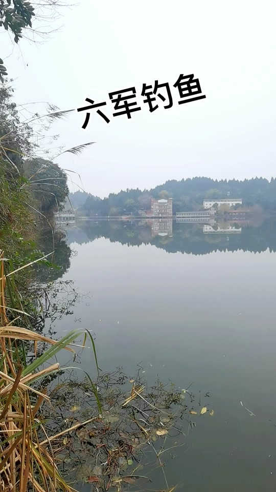 资阳哪些水库可以钓鱼 - 抖音