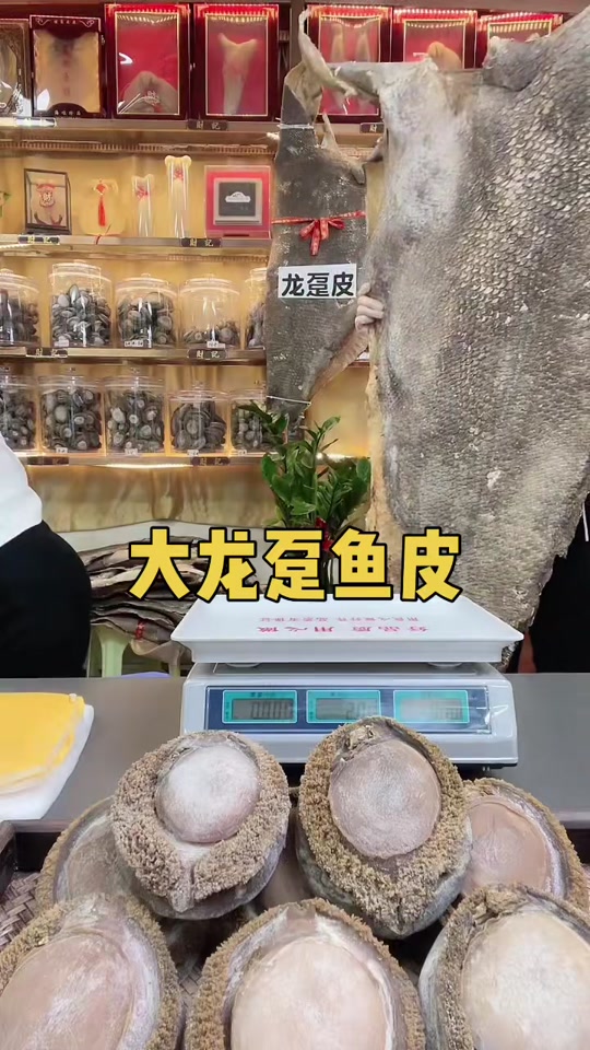 龙趸鱼多少钱一斤 - 抖音