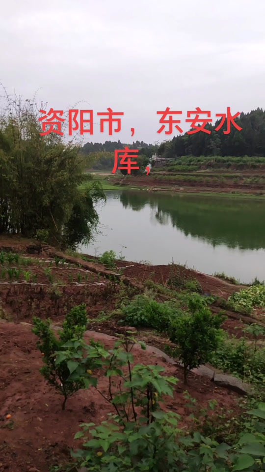 资阳哪些水库可以钓鱼 - 抖音