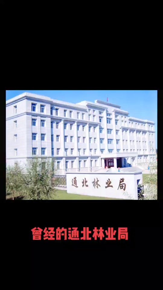 通北林业局公示名单什么时候出 - 抖音