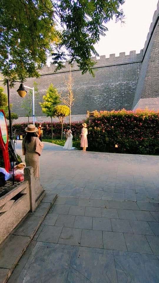 邢台劳模公园蔷薇花