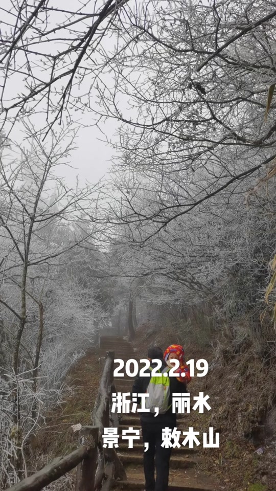 景宁天气预报天气大全