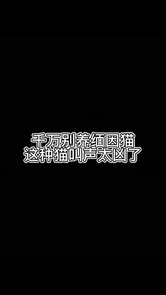 抖音猫叫领导=抖音上小猫叫引来猫咪的声音