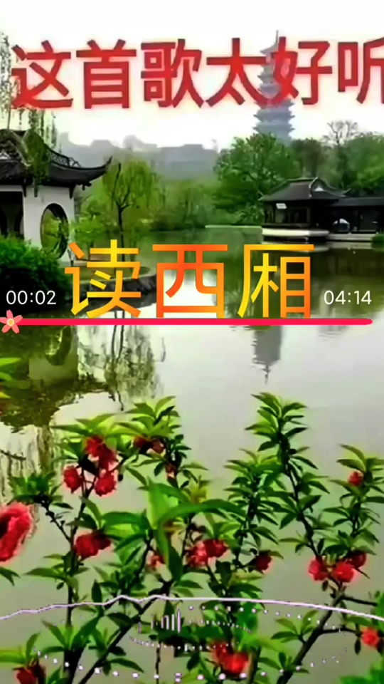 西厢小昔米歌词 - 抖音