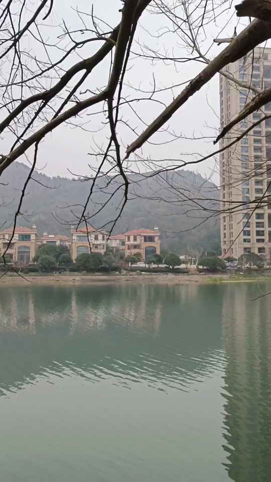 永康白垤里村什么时候搬迁