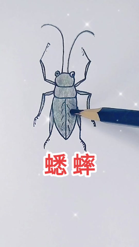 蛐蛐风简笔画