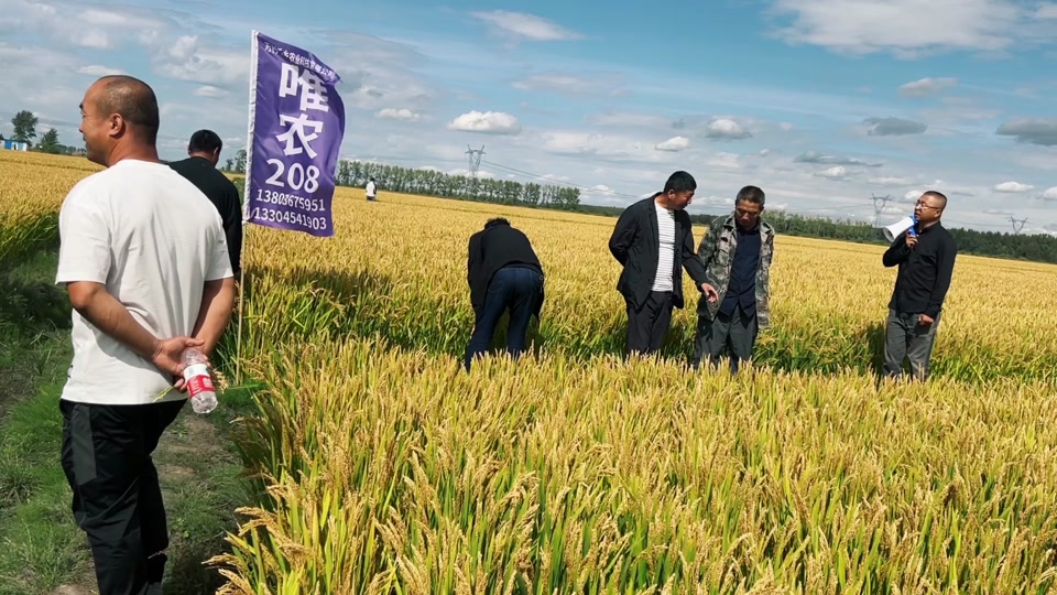 七星农场,9月13日袁策集团在黑龙江建三江大兴农场及七星农场再次召开