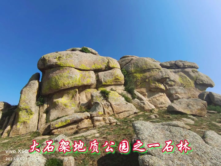 60级千针石林矿点分布图