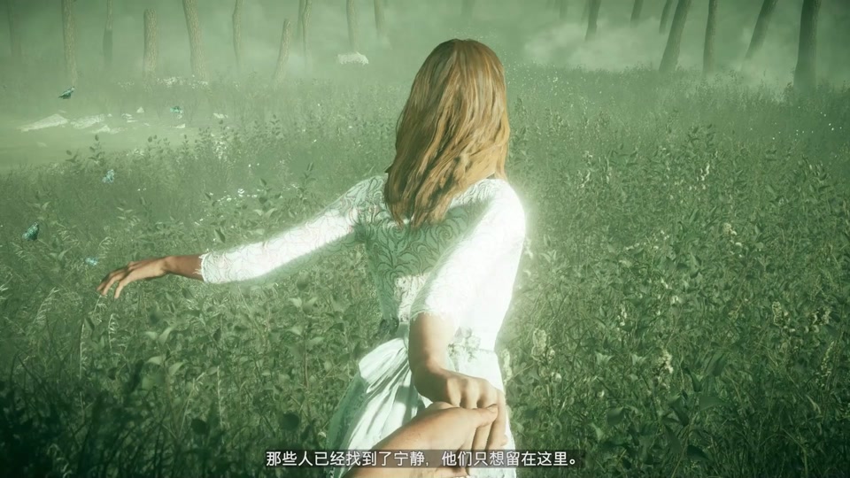 壁纸 动物 狗 狗狗 960_540