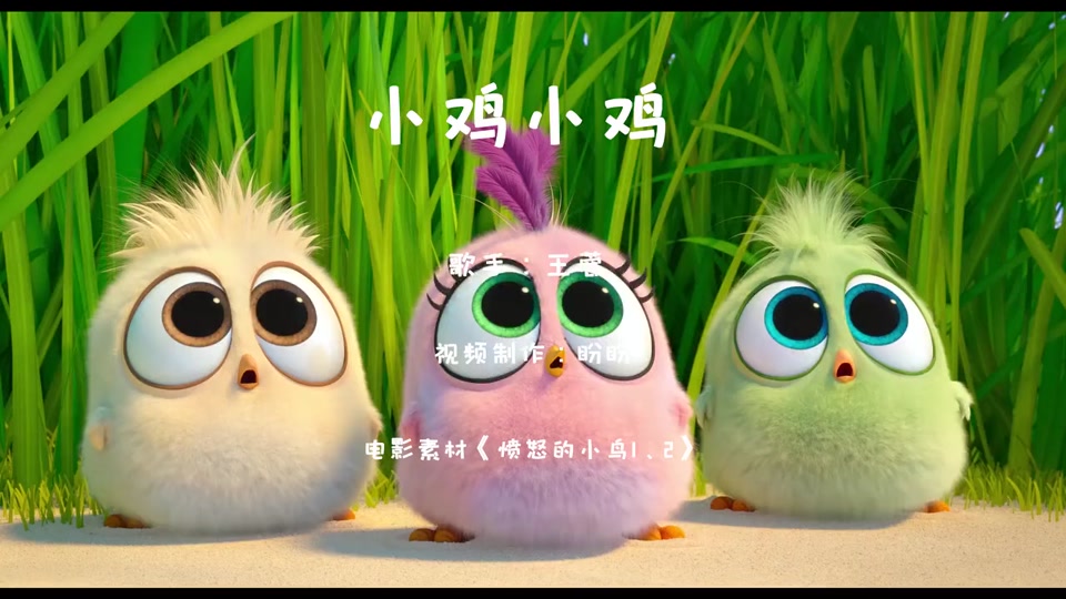 歌曲小鸡小鸡(歌曲小鸡小鸡咯咯哒完整版)