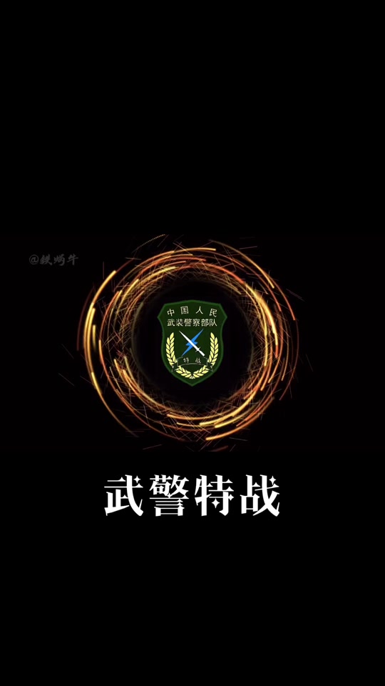 中国武警特战_中国武警特战臂章_中国武警特战老兵秦彬 - 抖音