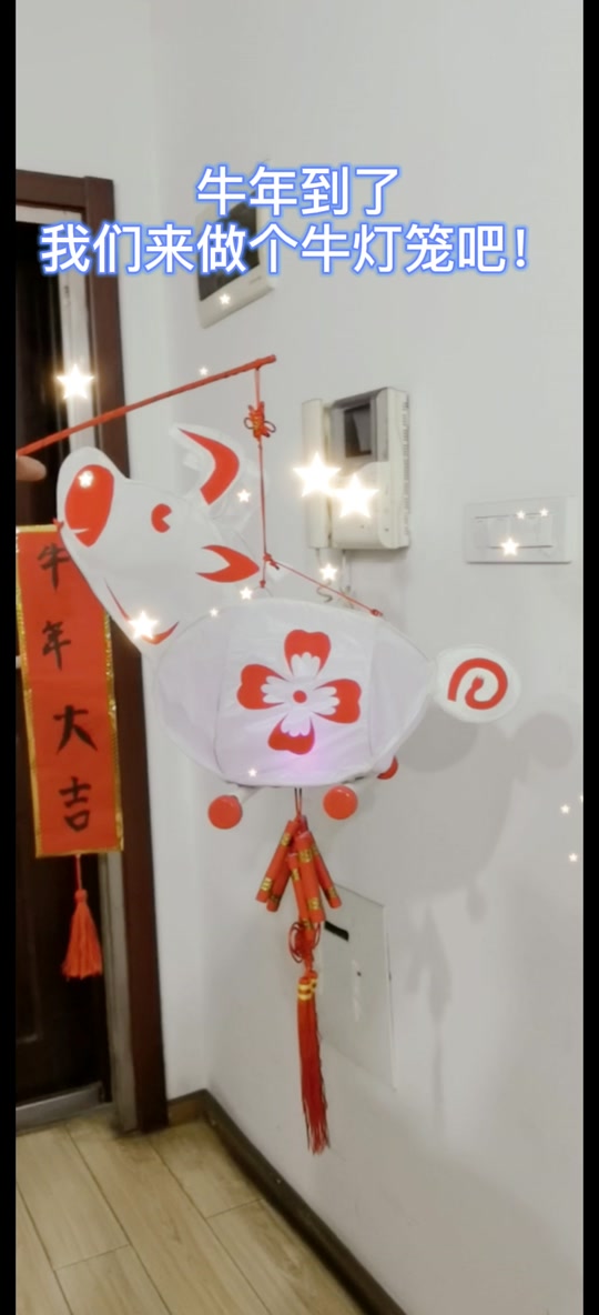 故宫牛角灯_故宫牛角灯如何制作_故宫牛角灯笼 - 抖音